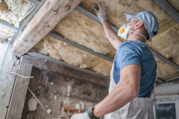 Best Residential Insulation Services  in Atkinson, IL
