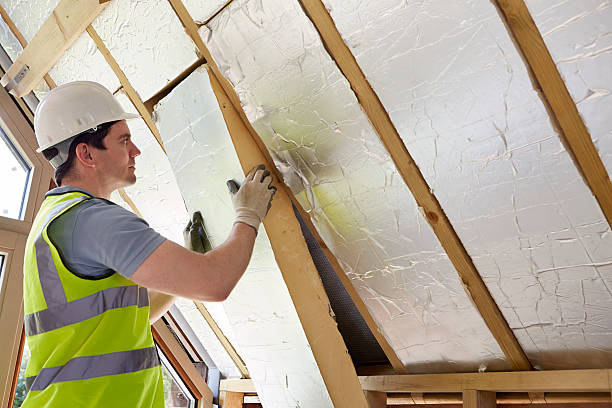 Best Attic Insulation Near Me  in Atkinson, IL