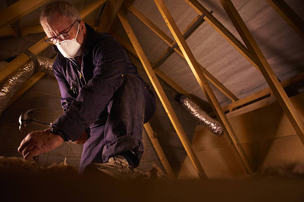 Best Fiberglass Insulation  in Atkinson, IL